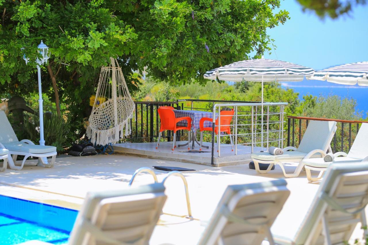 Apartment Dundar - *