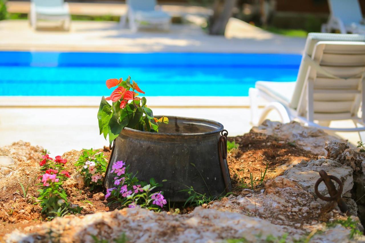 Apartment Dundar - *
